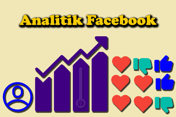 analitik facebook