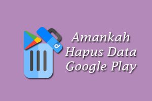 amankah hapus data google play