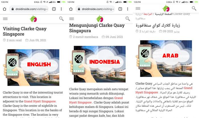 Hasil Translate Aplikasi Google Chrome