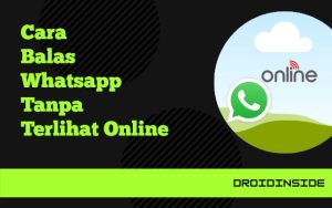 Cara Balas WA Tanpa Terlihat Online