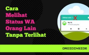 melihat status wa tanpa terlihat