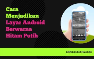 ubah layar android jadi hitam putih