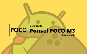 Berapa DPi Poco M3