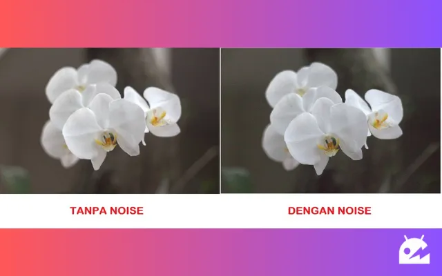 Noise pada Foto HP Xiaomi Redmi Note 10 2